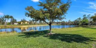 10093 Avalon Lake Circle Gallery 36