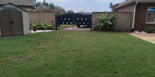 256 Mapleleaf Circle Gallery 11