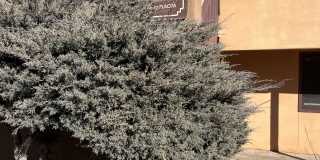 405 Camino De La Placita - 1Unit 4A Gallery 1