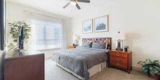 Domain at Kirby Gallery 9