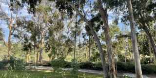 Scenic 4 Bedroom, 2.5 Bathroom Condo Gallery 22