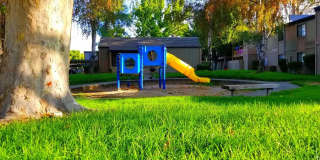 Pine Manor Gallery 7