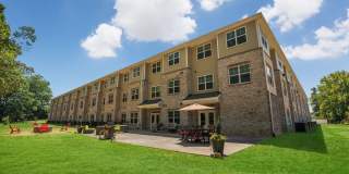 Davis Gardens Gallery 31