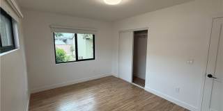 15328 Flatbush Gallery 13