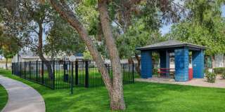 Sunrise in Chandler Gallery 45