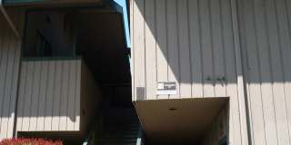 1262la 1262la Gallery 1