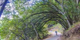 Furnished One Bedroom Cottage in Castro Valley Gallery 16