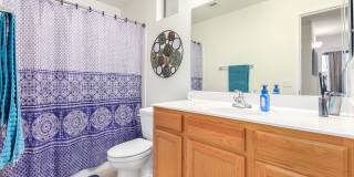 GORGEOUS FULLY-FURNISHED in Grayhawk 2/2 Bed/Bath Gallery 19