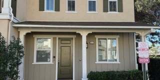 31 Lookout Gallery 1