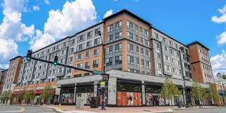 Piper Piper Gallery 39