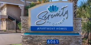 Serenity at Cityside Gallery 19