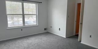 14 MIMOSA COURT Gallery 11