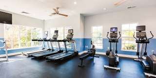 Settler’s Landing Gallery 29