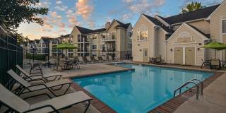 Orchard Park Gallery 22