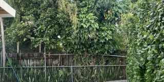 485 NW 25th Ct Gallery 17