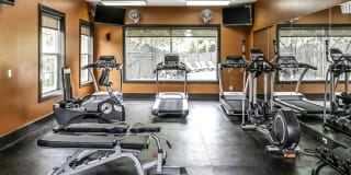 Autumn Grove Gallery 7