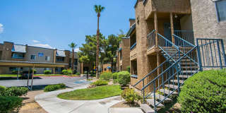 Shadowbrook Gallery 18