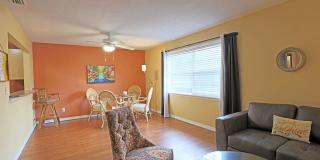 Palms at Waters Edge 3344-M6 Gallery 3