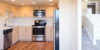 Skyline Vista Gallery 1