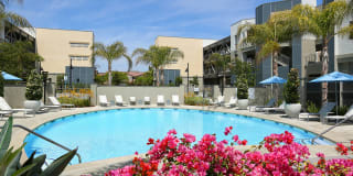 Mosaic Apartments Gallery 13