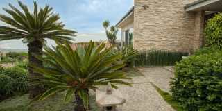 1409 Lachman Ln Gallery 12