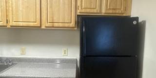 Hewitt Gardens Gallery 20