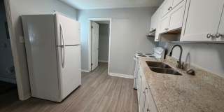 Welcome to St. Petersburg!!! Gallery 11