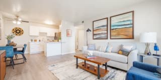 Dorado Heights Gallery 1