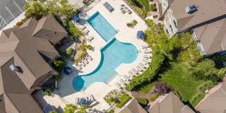 Lake Clearwater Gallery 61