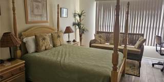 6011 BAHIA DEL MAR Boulevard Gallery 13