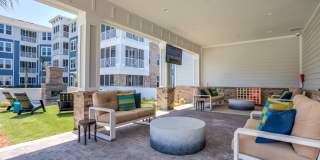 Lakeside Walk Gallery 5