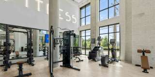 Alta West Morehead Gallery 28