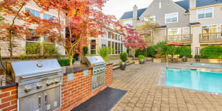 LionsGate North Gallery 4