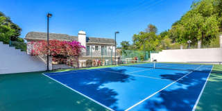 11244 Briarcliff Ln Gallery 64