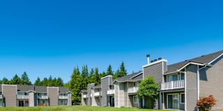 Black Lake Gallery 5