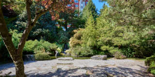 Saxton Apartments Gallery 49