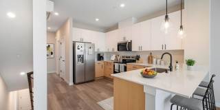 Brand New 4 Bedroom Luxury Townhomes! Gallery 5