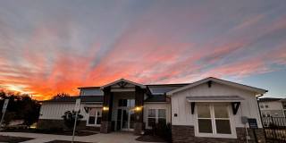 The Overlook Palestine Gallery 1