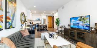 Ovelo Hollywood Gallery 15