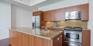 1101 LOCUST STREET Gallery 1