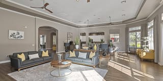 3101 Place Apartments Gallery 16