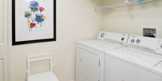 Lyme Stone Ranch Gallery 9