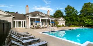 Alvista Bowie Gallery 14