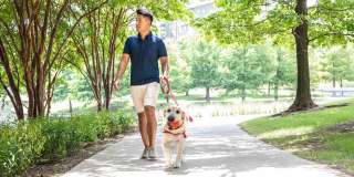 The Canal Gallery 36