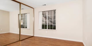 Lantern Cove Gallery 31