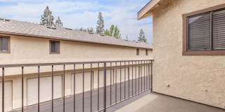 Mountain Springs Gallery 25