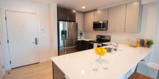 Edric Apartments Gallery 3