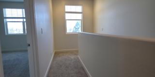 2489 West Cripple Creek Drive - 1 Gallery 15