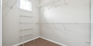 Tree Park Apartments Gallery 24