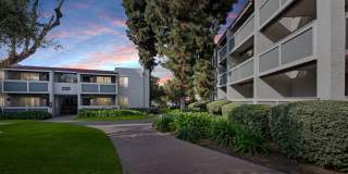 Olive Ridge Apartments Gallery 34